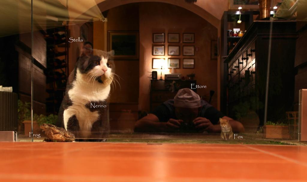 Villa Di Capovento คาสเตลลินาอินเคียนติ ภายนอก รูปภาพ