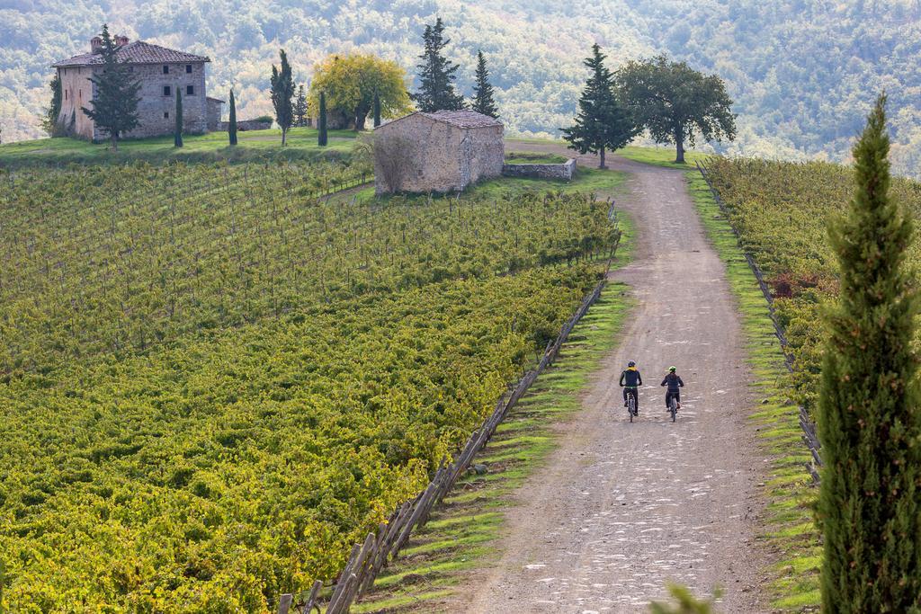 Villa Di Capovento คาสเตลลินาอินเคียนติ ภายนอก รูปภาพ